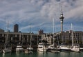 Auckland marina