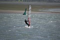 Strong wind windsurfing in Tamaki river Royalty Free Stock Photo