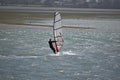 Strong wind windsurfing in Tamaki river Royalty Free Stock Photo