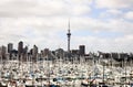 Auckland New Zealand Royalty Free Stock Photo