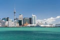 Auckland skyline with Sky Tower and skyscrapers and copy space