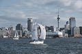 AUCKLAND,NZ - Jul 2019: Auckland Skyline. It`s the largest and most populous urban area in the country