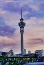 Auckland`s Sky Tower at dawn