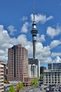 Auckland Sky Tower at Night