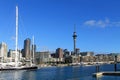 Auckland Sky tower view from Wynyard Viaduct/crossing