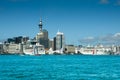 Auckland Skyline & Cruise Ships