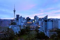 Auckland skyline Panoramic view