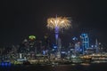 Auckland Skytower fireworks for New Year celebration. View from Mt Victoria, Devonport, Auckland