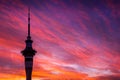 Auckland skytower - Sunset