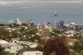 Auckland suburb with skyscrapers in background