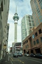 Auckland tower