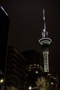 Auckland Tower, New Zealand at night