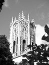 Auckland University Clock Tower building