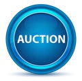 Auction Eyeball Blue Round Button Royalty Free Stock Photo