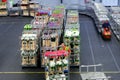 Auction floor at Aalsmeer's FloraHolland flower auction Royalty Free Stock Photo