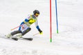 Skier in competes during the Audi FIS Alpine Ski World Cup Women`s Super Combined on February 28, 2016 in Soldeu, Andorra