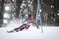 Audi FIS World Cup Mens Slalom Royalty Free Stock Photo