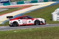 Audi LMS Cup 2013 Nissan GT-R Royalty Free Stock Photo
