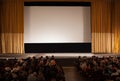 Audience in an auditorium in front of white cinema screen Royalty Free Stock Photo