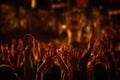 Audience with hands raised at a music festival and lights streaming down from above the stage. Royalty Free Stock Photo