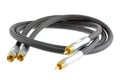 Audio Cable : RCA connector (Phono/Cinch connector Royalty Free Stock Photo