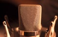 Audio recording vocal studio voice microphone Royalty Free Stock Photo