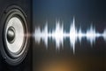 audio speaker and sound wave on dark background Royalty Free Stock Photo