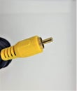 Audio video RCA cable for video and audio data transmission Royalty Free Stock Photo