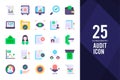 25 Audit Flat icon pack. vector illustration