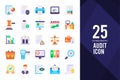 25 Audit Flat icon pack. vector illustration