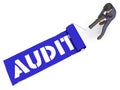 Audit Paint Shows Financial Auditing 3d Rendering