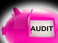 Audit Piggy Bank Message Means Inspection And Validation