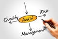 Audit