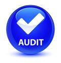 Audit (validate icon) glassy blue round button Royalty Free Stock Photo
