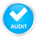 Audit (validate icon) premium cyan blue round button Royalty Free Stock Photo