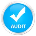Audit (validate icon) premium cyan blue round button Royalty Free Stock Photo