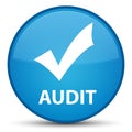 Audit (validate icon) special cyan blue round button Royalty Free Stock Photo