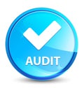 Audit (validate icon) splash natural blue round button