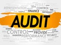 AUDIT word cloud Royalty Free Stock Photo