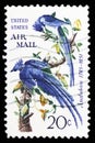 Audubon - Black-throated Magpie-jay (Calocitta colliei), Airmail 1952-1967 serie, circa 1967