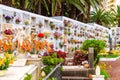 At the cemetery of San Carlos in Puerto de la Cruz Royalty Free Stock Photo