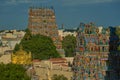 Gopurams of meenakshi sundareswarar shrine temple in morning light Madurai Tamil Nadu