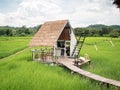 9 aug 20, Nan, Thailand. ecology cafe in nature trend. wooden hut in rice field near stream. cafe in rice field.