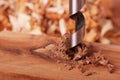 Auger bit drilling wood Royalty Free Stock Photo