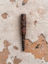Auger bit on weathered wall. Royalty Free Stock Photo