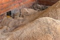 Auger Conveyor Moves Sawdust from Sawmill