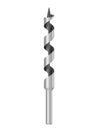 Auger drill bit