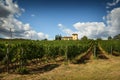 12 August 2017: Beautiful Vineyard with blue cloudy sky in Chianti region. Located near Florence, Tuscany. Royalty Free Stock Photo