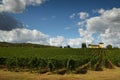 12 August 2017: Beautiful Vineyard with blue cloudy sky in Chianti region. Located near Florence, Tuscany. Royalty Free Stock Photo