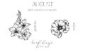 August Birth Month Flowers. Gladiolus outline isolated on white. Poppy Line Art. Hand drawn line art botanical illustration. Black